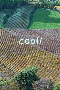 cool1