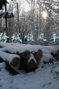 跨城顺风车