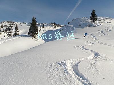 lms赛区