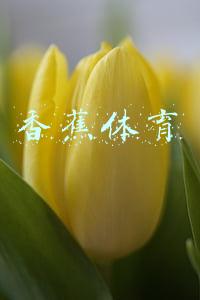香蕉体育