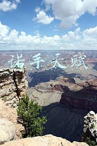 诺手天赋