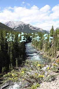 淘宝海外