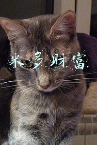 米多财富骗子(已曝光的理财产品汇总续集七)