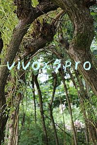 vivox5pro