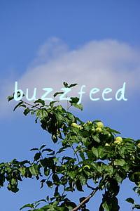 buzzfeed