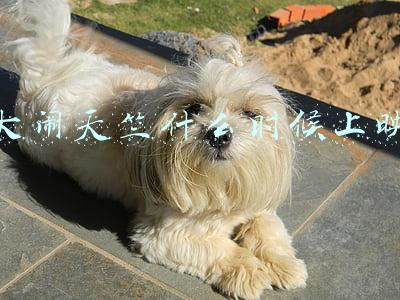 大闹天竺什么时候上映