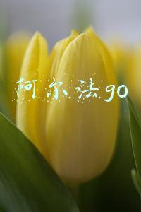 阿尔法go