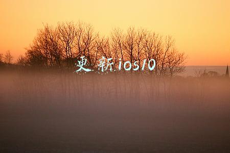 更新ios10