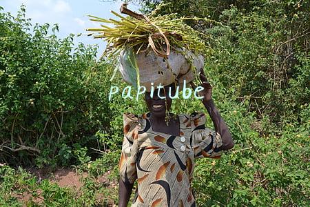 papitube
