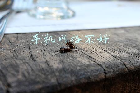 手机网络不好