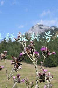 英雄联盟封号申诉