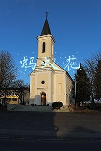 蚂蚁花