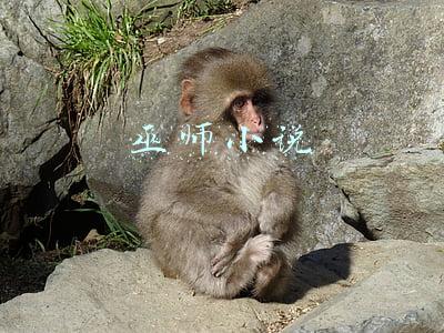 巫师小说