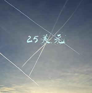 25美元