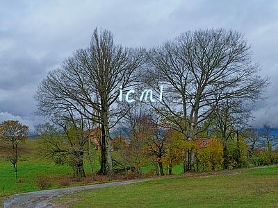 icml