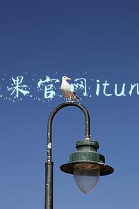 苹果官网itunes