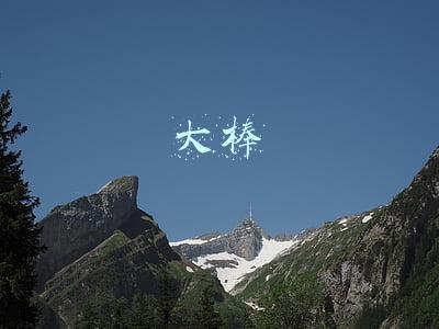大棒政策(德尔塔毒株肆虐，疫苗接种龟速进行！欧美启用“大棒政策”强推疫苗接种)