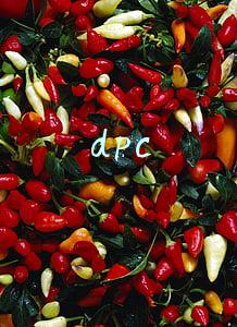 dpc