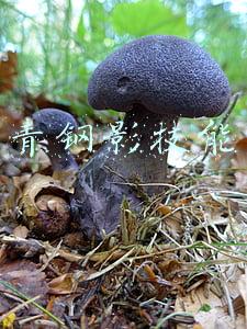 青钢影技能