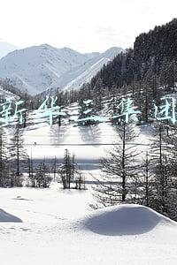 新华三集团官网(股权交易完成 新华三集团正式成立)