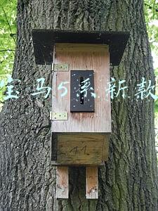 宝马5系新款