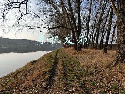 手机发布时间表(盘点各手机品牌发布时间)