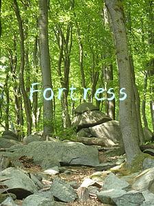 Fortress
