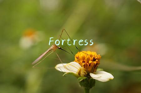 Fortress