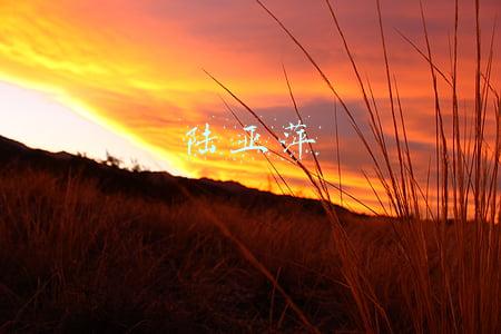 陆亚萍
