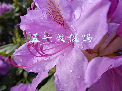五一放假吗