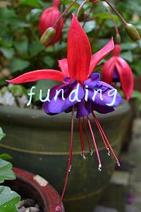 funding和fund(桥水、AQR、千禧遭遇大幅回撤—波动率风暴下 对冲基金发生了什么？)
