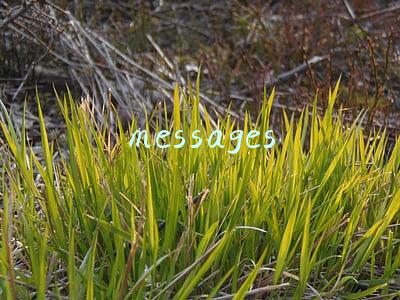 messages