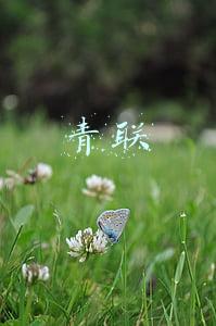 青联
