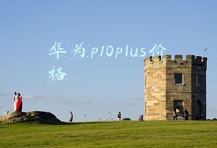 华为p10plus上市价格(4388元起！华为宣布P10 Plus亮黑版8月14日零时开售)
