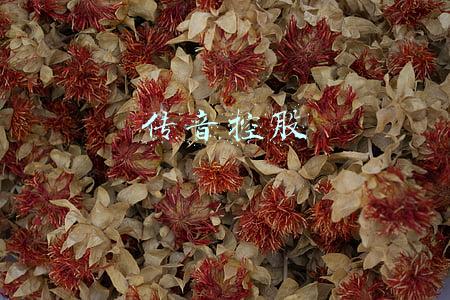 传音控股