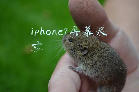 iphone7屏幕尺寸