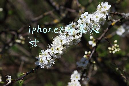 iphone7屏幕尺寸
