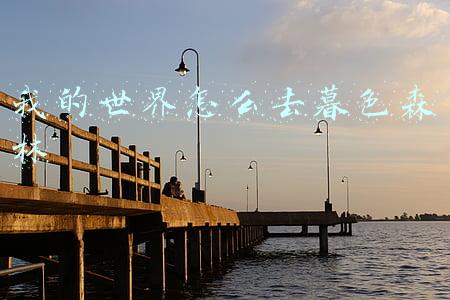 我的世界怎么去暮色森林