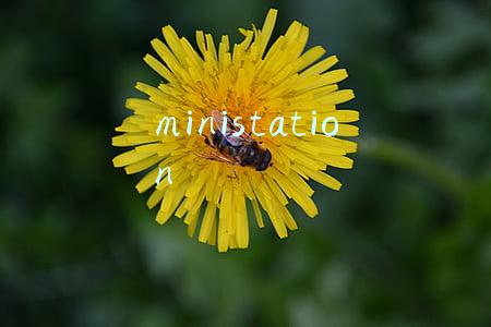 ministation