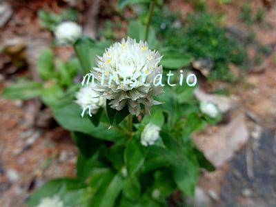 ministation