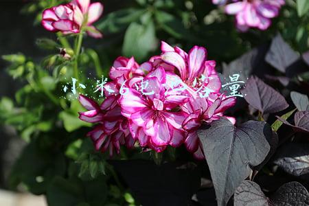 小米6电池容量