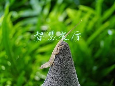 智慧餐厅