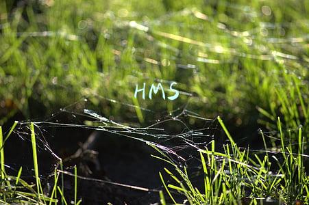 HMS