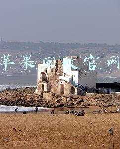 苹果回收官网