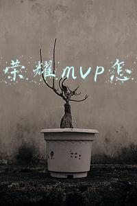 王者荣耀mvp怎么算的