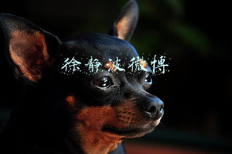 徐静波微博