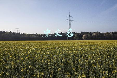 中文名字的英文写法(英语中的号码表示法，姓名书写及三个“穿”的用法)
