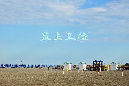 盟主直播