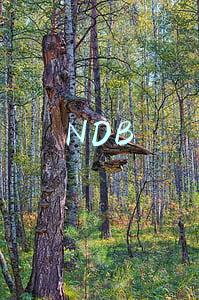 NDB
