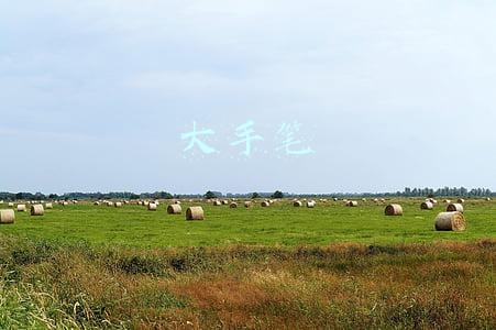 大手笔